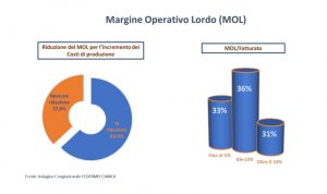 Federmeccanica indagine industria metalmeccanica meccatronica Italia margine operativo lordo