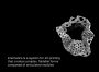 stampa 4D Kinematics