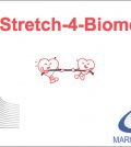 stent biocompatibili nanotubi Enea