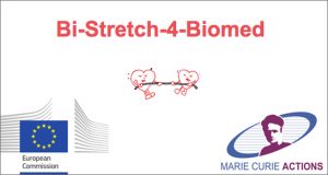 stent biocompatibili nanotubi Enea