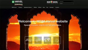 riduttori di velocità Varvel sito web India