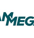 movimentazione brand Ammega Megadyne Ammeraal Beltech
