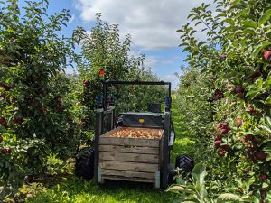 Siko sensori encoder robot mobile autonomo raccolta mele nei frutteti