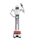 RealMan robot ultraleggeri Embodied Dual-Arm