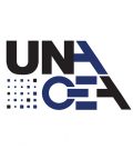 Unacea mercato macchine per costruzioni prima metà 2025