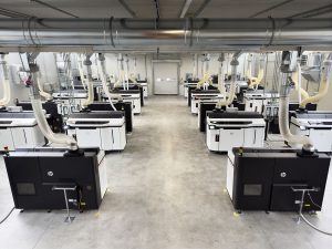 Weerg stampa 3D Nylon PA11 seconda generazione sala stampanti MJF