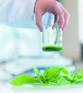 Dassault Systèmes virtual twin ricerca cosmetica naturale Groupe Rocher gen AI