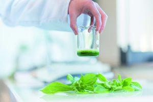 Dassault Systèmes virtual twin ricerca cosmetica naturale Groupe Rocher gen AI